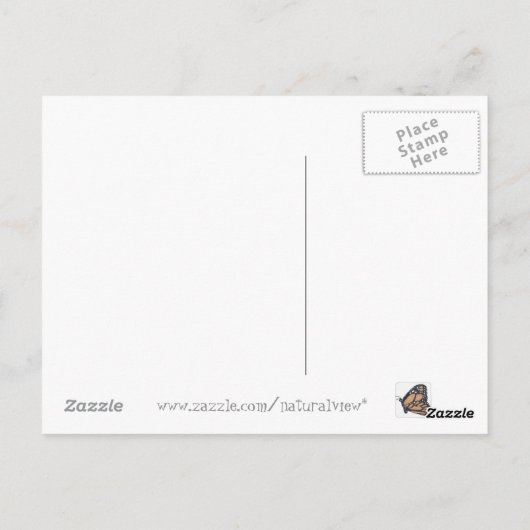 Radweg Postkarte (Rückseite)