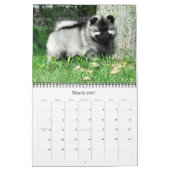 Raevyn Keeshond-Kalender 2015 Kalender (Mär 2027)
