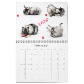 Raevyn Keeshond-Kalender 2015 Kalender (Feb 2027)