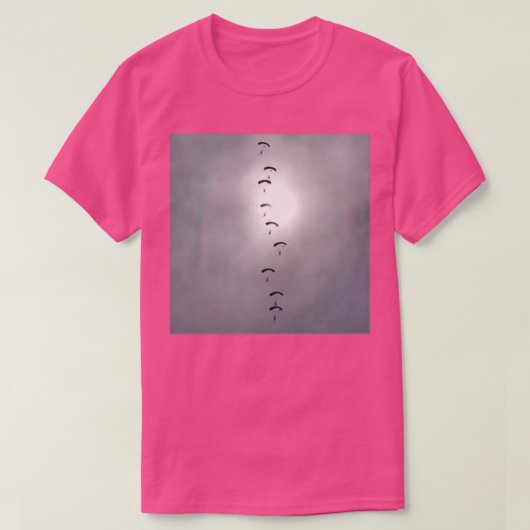 RAF Falcons Parachute Display T-Shirt (Design vorne)