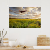 RAF Typhoon Eurofighter über Rapssamen c Poster (Küche)