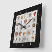 Raffinierte Muscheln Quadratische Wanduhr (Winkel)