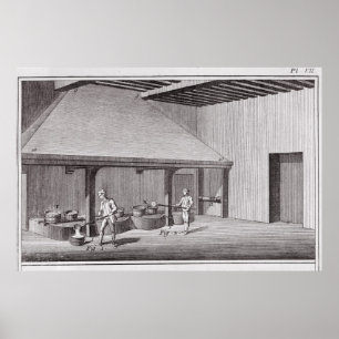 Raffiniertes Salz Poster