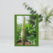 Rafflesia arnoldii postkarte (Stehend Vorderseite)