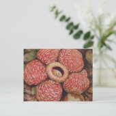 Rafflesia de Borneo Postkarte (Stehend Vorderseite)