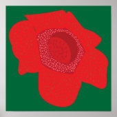 Rafflesia Poster (Vorne)