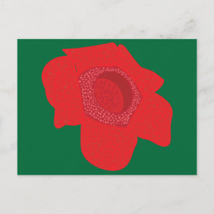 Rafflesia Postkarte