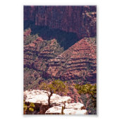 Rafinesque Uhren Fotodruck (Vorne)