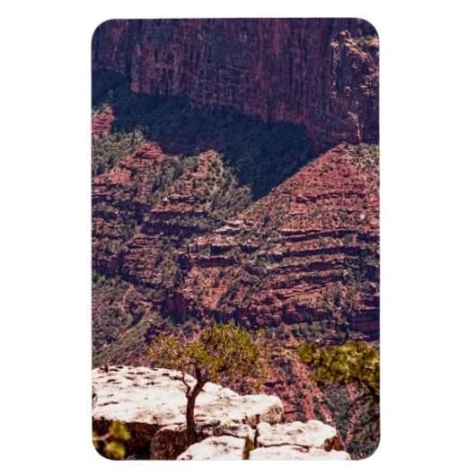 Rafinesque Uhren Magnet (Vertikal)