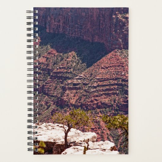 Rafinesque Uhren Planer (Vorderseite)