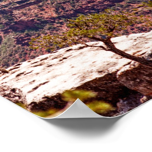 Rafinesque Uhren Poster (Ecke)