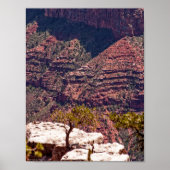 Rafinesque Uhren Poster (Vorne)