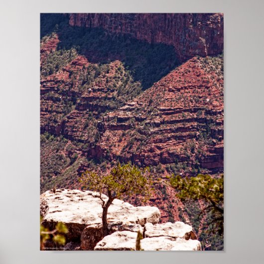 Rafinesque Uhren Poster (Vorne)