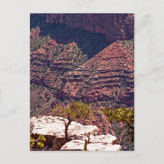 Rafinesque Uhren Postkarte (Vorderseite)