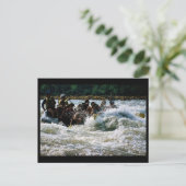 Rafting Postkarte (Stehend Vorderseite)