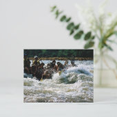 Rafting Postkarte (Stehend Vorderseite)