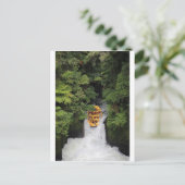 Rafting über den Wasserfall Neuseeland Postkarte (Stehend Vorderseite)