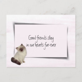 Rag Doll Cat Pet Beileid Postkarte