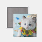 Rag Doll Kitten und Sommerurlaub Magnet (Vorderseite/Rückseite)
