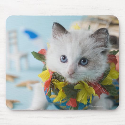 Rag Doll Kitten und Sommerurlaub Mousepad (Vorne)