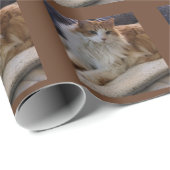 Rag Doll Orange und White Long Hair Cat Foto Geschenkpapier (Rolleneckpunkt)