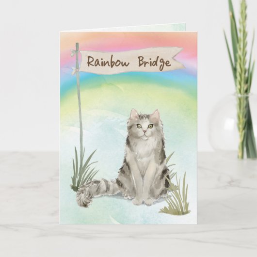 Ragamuffin Katze Beileid über Regenbogenbrücke Karte (Vorderseite)