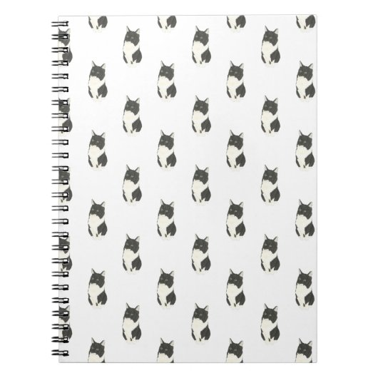 Ragamuffin Tuxedo Cat Notebook Notizblock (Vorderseite)