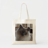 Ragdale Katzen-Tasche Tragetasche (Vorne)
