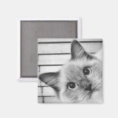 Ragdoll Alert! Magnet (Vorderseite/Rückseite)