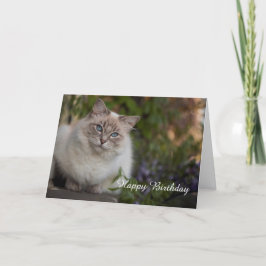 Ragdoll Birthday Card Karte