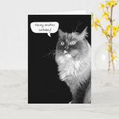 Ragdoll Birthday Spaß Card Karte (Gelbe Blume)