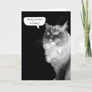 Ragdoll Birthday Spaß Card Karte