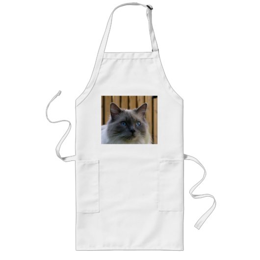 Ragdoll, blau lange schürze (Vorne)