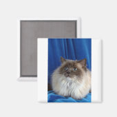 Ragdoll, blau magnet (Vorderseite/Rückseite)