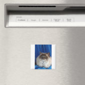 Ragdoll, blau magnet (In Situ (Geschirrspüler))