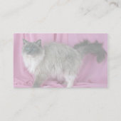 Ragdoll (blau) visitenkarte (Rückseite)