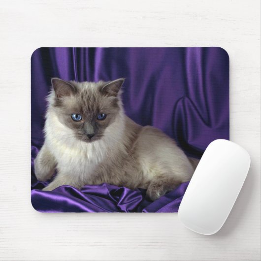Ragdoll, blauer Punkt Mousepad (Mit Mouse)