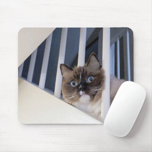 Ragdoll Cat auf Treppe Mousepad (Mit Mouse)