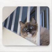 Ragdoll Cat auf Treppe Mousepad (Vorne)