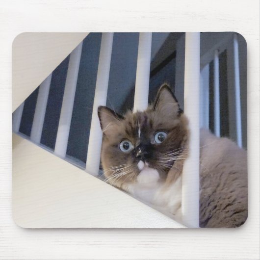 Ragdoll Cat auf Treppe Mousepad (Vorne)
