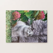 Ragdoll Cat By Hydrangea Puzzle (Horizontal)