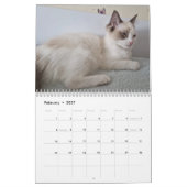 Ragdoll Cat Calendar Kalender (Feb 2027)