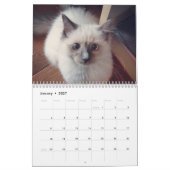 Ragdoll Cat Calendar Kalender (Jan 2027)