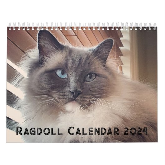 Ragdoll Cat Calendar Kalender (Titelbild)