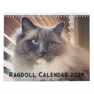 Ragdoll Cat Calendar Kalender