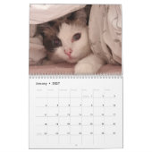 Ragdoll Cat Calendar Kalender (Jan 2027)