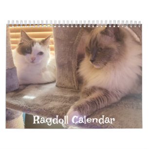 Ragdoll Cat Calendar Kalender