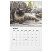 Ragdoll Cat Calendar Kalender (Mär 2027)
