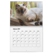 Ragdoll Cat Calendar Kalender (Feb 2027)