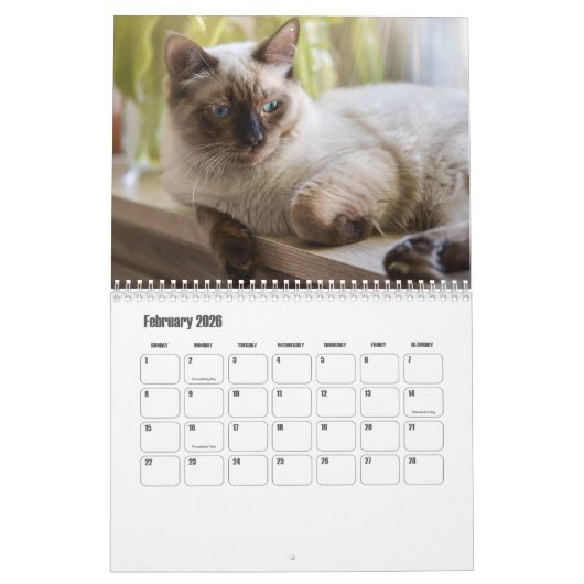 Ragdoll Cat Calendar Kalender (Feb 2026)